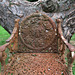 Rusted Garden Chair