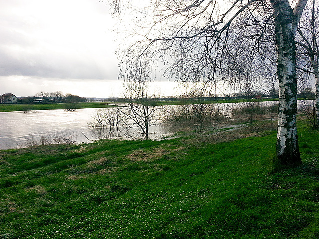 20150402 0014H w[D~SHG] Weser, Hochwasser, Rinteln