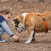 Bulldog and Boy - Nikon D750 - AFS Nikkor 28-300mm 1:3.5-5.6G VR