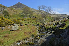 Whiteless Pike and Rannerdale in early Spring