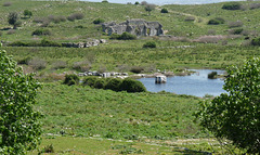 Miletus- Towards the Silted-up Harbour