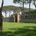 Pompeii- Palestra Grande