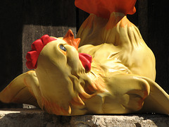A chicken from Besalú, Spain