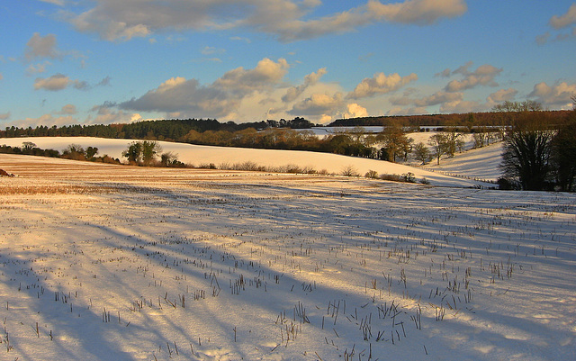 Winter shadows across the snow, North Yorkshire