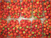 170/365 - Erdbeeren en masse...