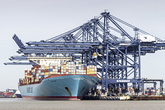 Loading the Evelyn Maersk