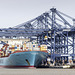 Loading the Evelyn Maersk