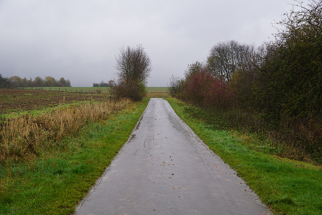 A Walk in the Rain VI