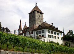 Schloss Spiez am Thunersee