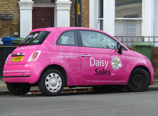 Daisy Sales - 28 December 2016