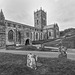 St Davids Cathedral. Pembrokeshire