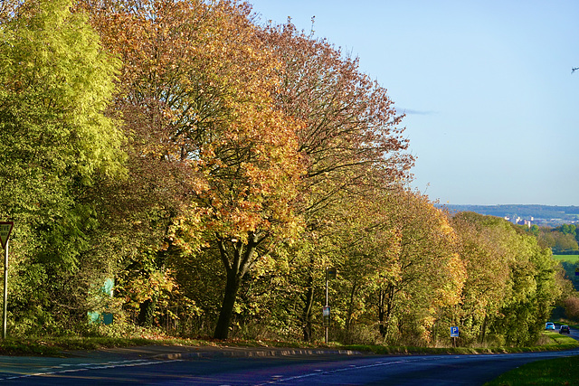 Staffordshire autumn colours