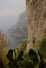 Capri GR 6
