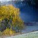 Winternebel am Weiher - Winter Fog on the Pond