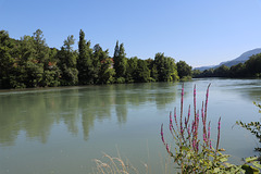 le Rhône