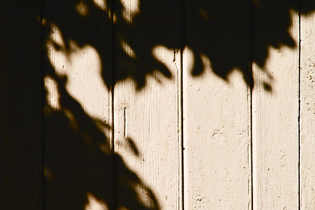 Steeple Ashton - Shadow Cast on an Outside Door