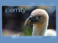 ipernity homepage with #1565