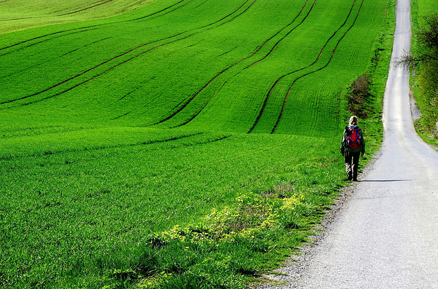 Ein Ausflug ins Grüne - A trip into the green