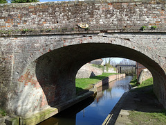 Bridges Over the Montgomery Canal