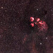 Cats Paw Nebula  NGC 6334
