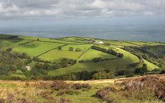 A Porlock  hill view