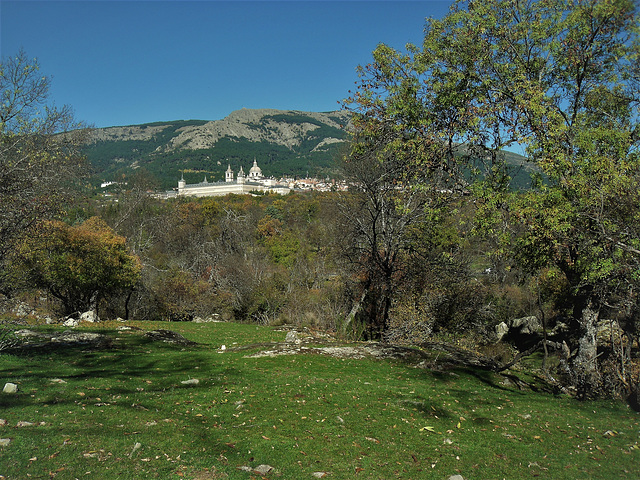 The Palace Monastery of San Lorenzo de El Escorial, seen from the Herrería Woods. Mount Abantos gives a suitable backdrop.