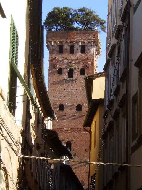 Guinigi Tower (1600).