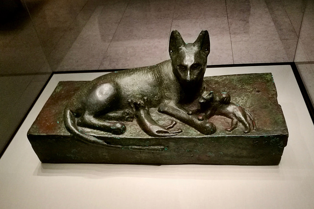 Lisbon 2018 – Calouste Gulbenkian Museum – Cat with kittens