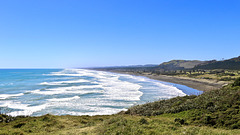 Muriwai Beach Domain Auckland  Nouvelle Zélande