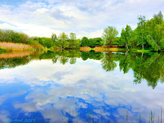 Romantischer Teich in der Bekow