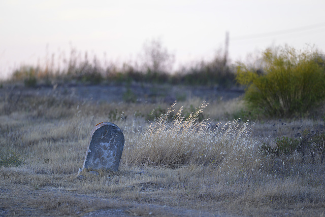 Milestone lost in Thirsty Land