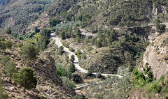 Road near Beznar Dam