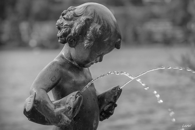 Fontaine Fontaine
