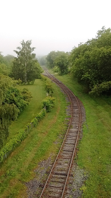 Verdure ferrée / Railroad amongst greenery