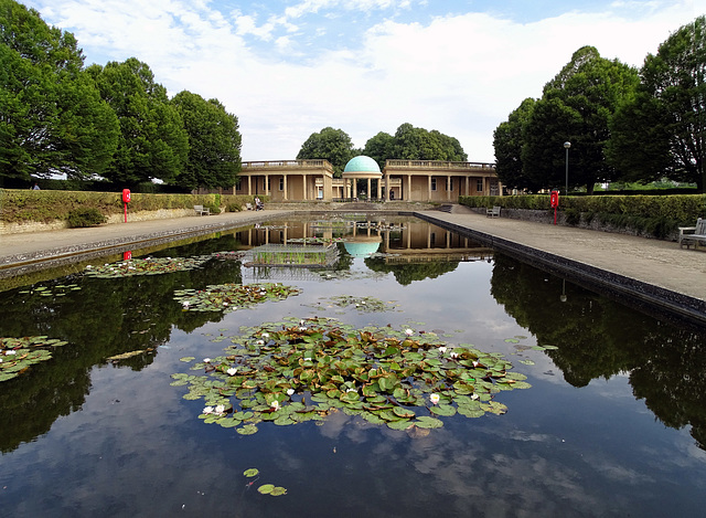 Eaton Park  Lilly Pond