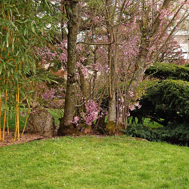 Blühendes Barock  - Am Japangarten