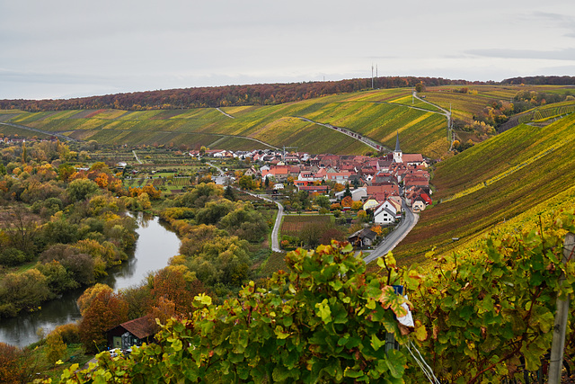 Farbenrausch in fränkischen Weinbergen - Burst of colours in Franconian vineyards