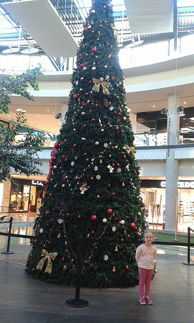 Beautiful big tree in the mall