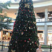 Beautiful big tree in the mall