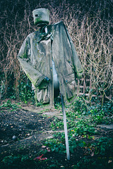 Feb 17 scarecrow