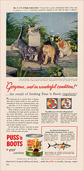 Puss 'n Boots Ad, 1957