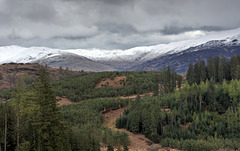 The Trossachs –  The Duke’s Pass looking to the Ben Venue and Ben Ledi area.
