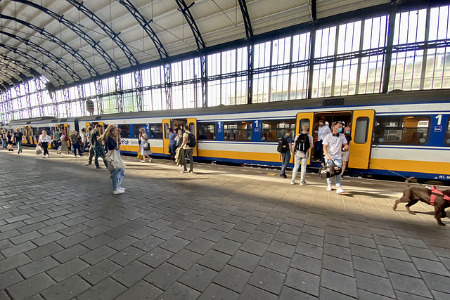 Train arriving in Haarlem
