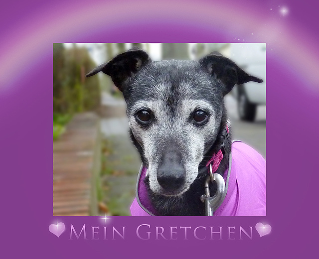 my dear Gretchen, i still miss you ♥