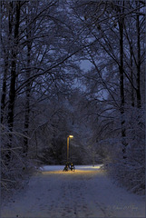 Blue Hour Bicycles...