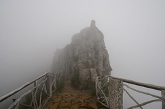 Madeira, Ninho da Manta im Nebel
