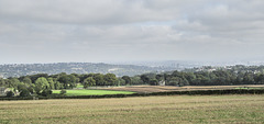 Wigley Farm fields view to Castle Dyke Lodge 1