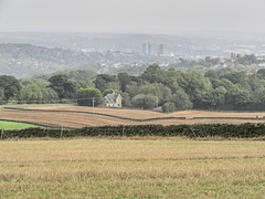 Wigley Farm fields view to Castle Dyke Lodge 2