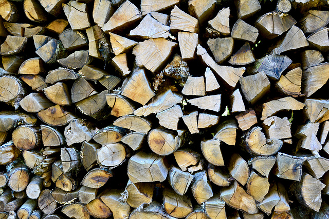 Limousin 2017 – Wood