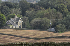 Wigley Farm fields view to Castle Dyke Lodge 3